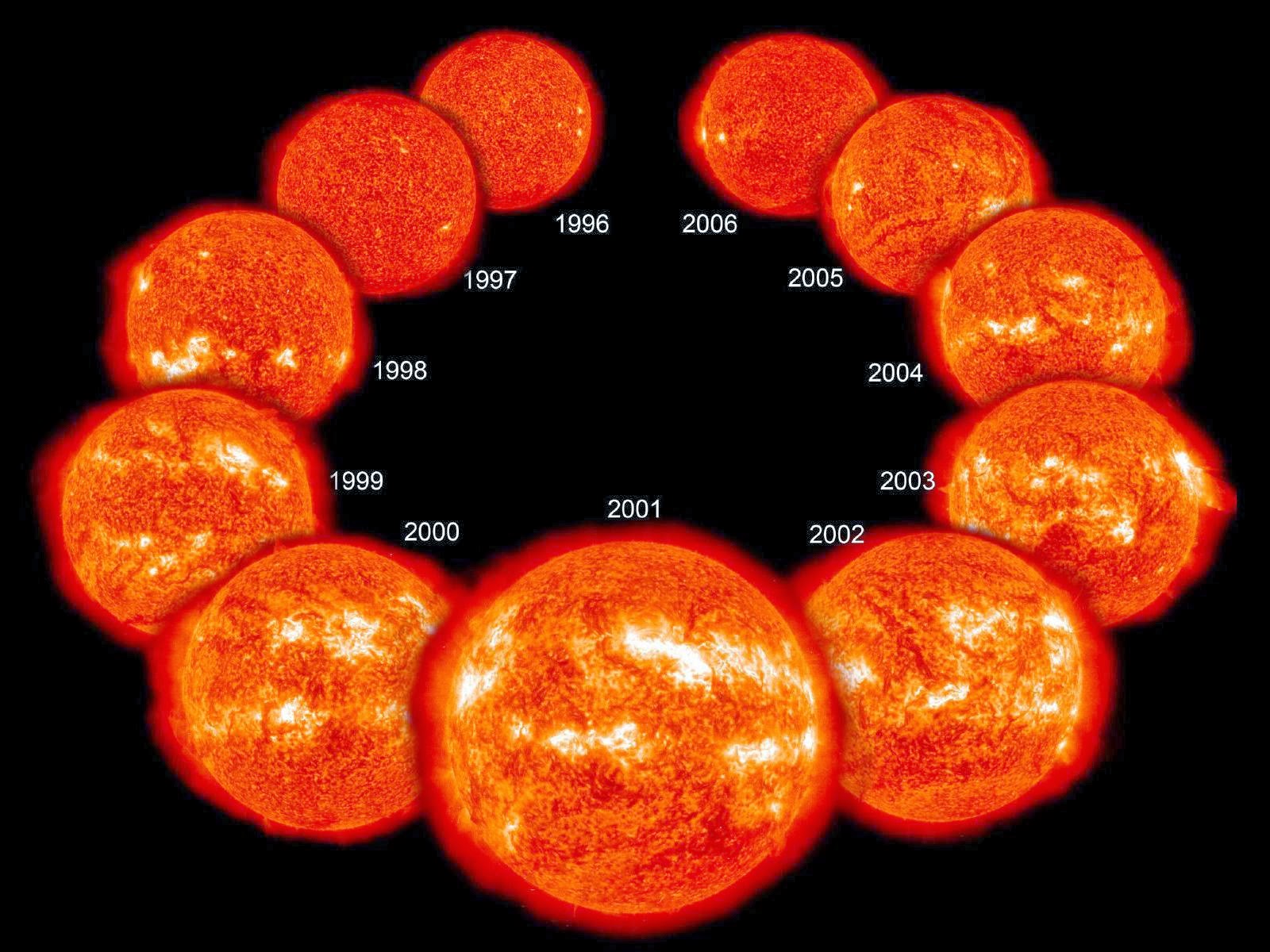 Eleven years in the life of the Sun